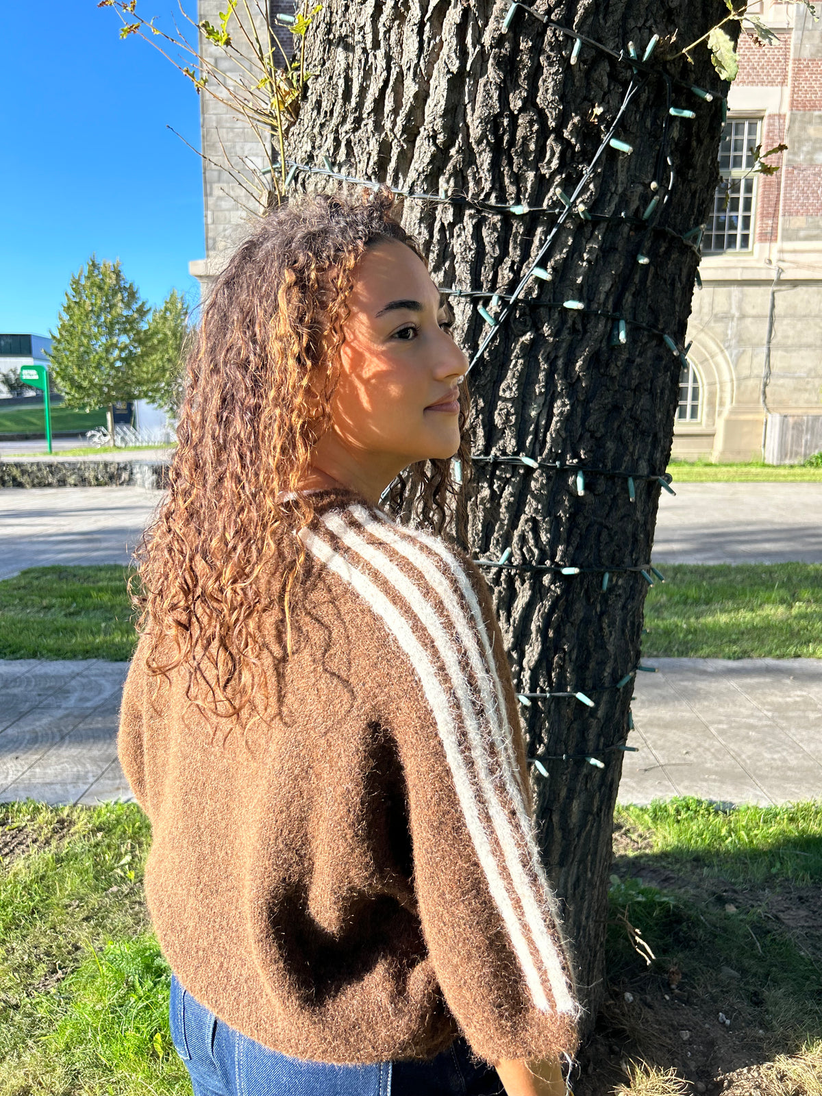 Bella Stripe Knit